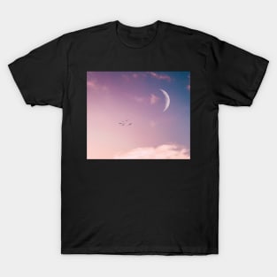 Birds in pink sky T-Shirt